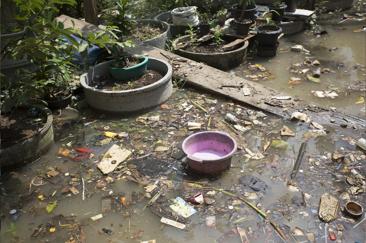 Image of sewage from a septic tank they should have read when to know if you need septic service