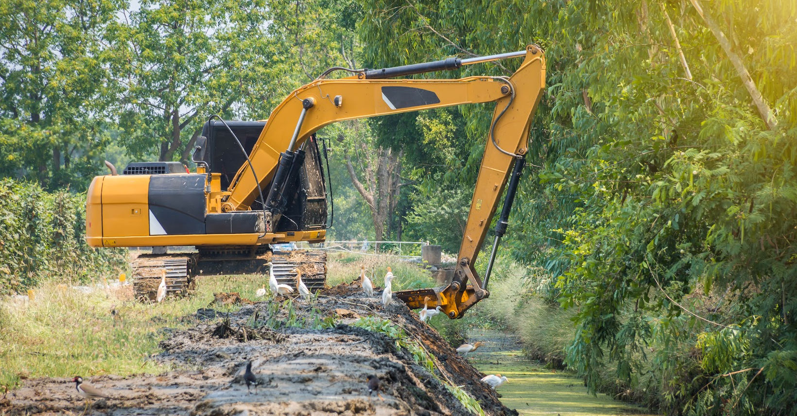 Image of ducks wondering what do excavation contractors do Image of ducks wondering what do excavation contractors do